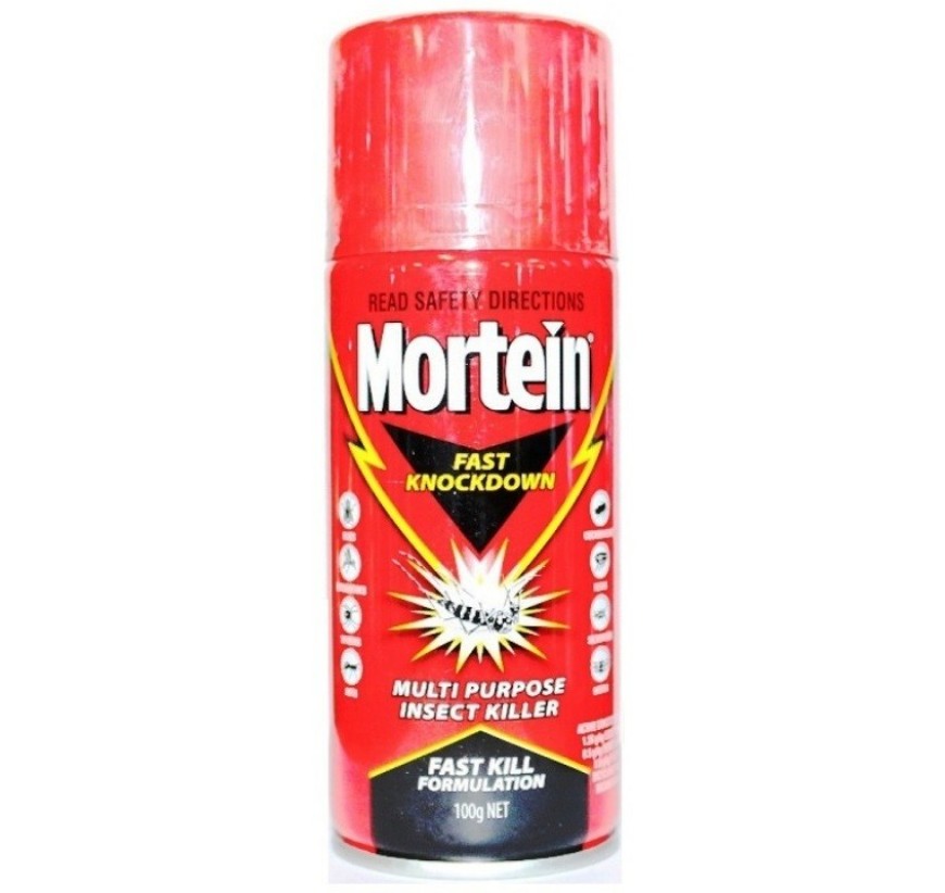 Mortein insecticide spray 100g 351730