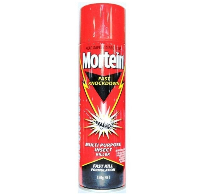 Mortein insecticide spray 150g 351731